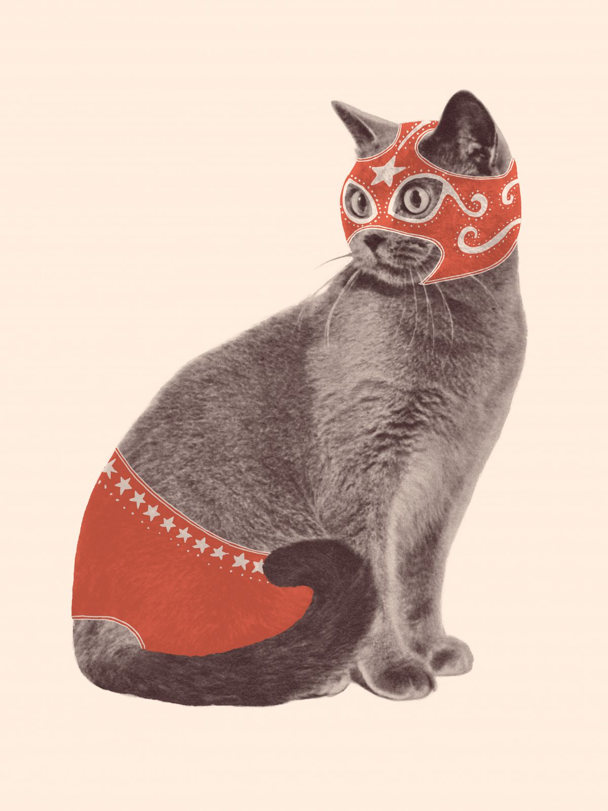 Poster - Katt med Mask