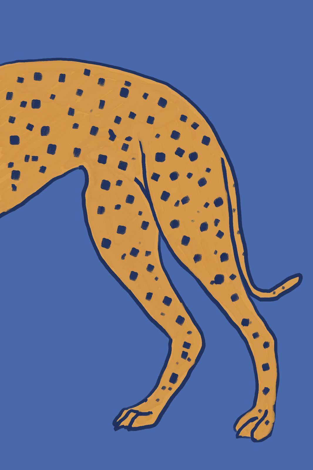 Poster - Gepard illustration