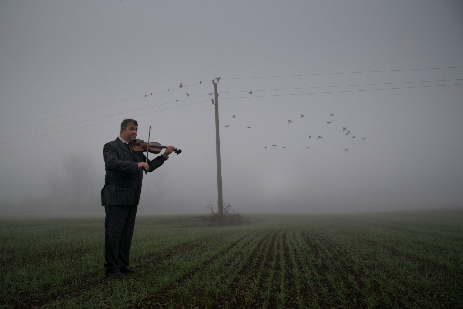Poster - Violinist i Dimman