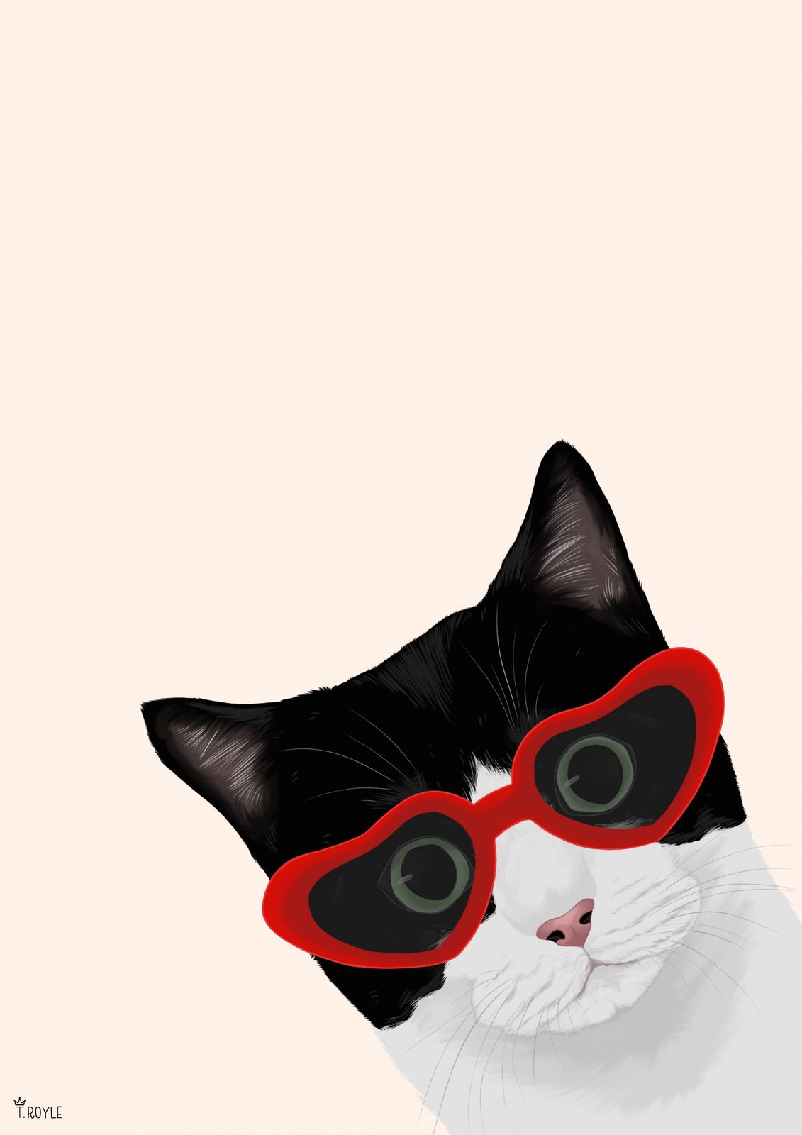 Poster - Katt med Solglasögon