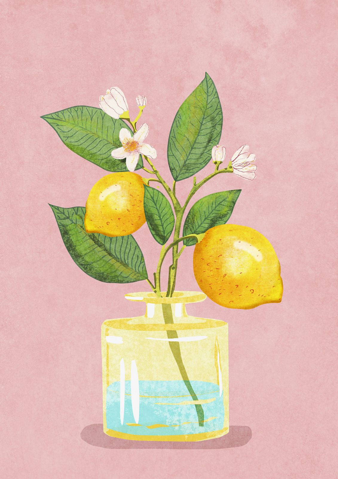 Poster - Citron Stilleben