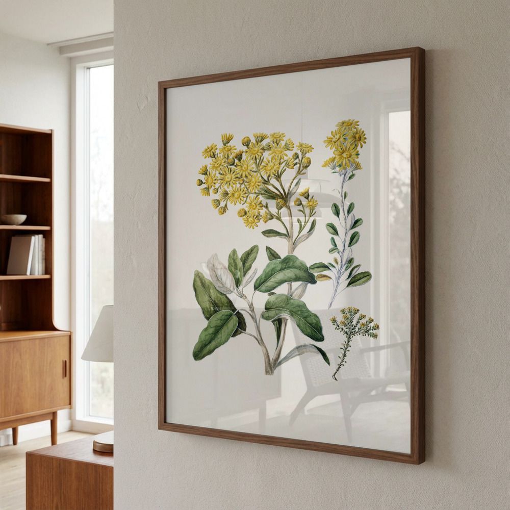 Poster - Botanisk illustration