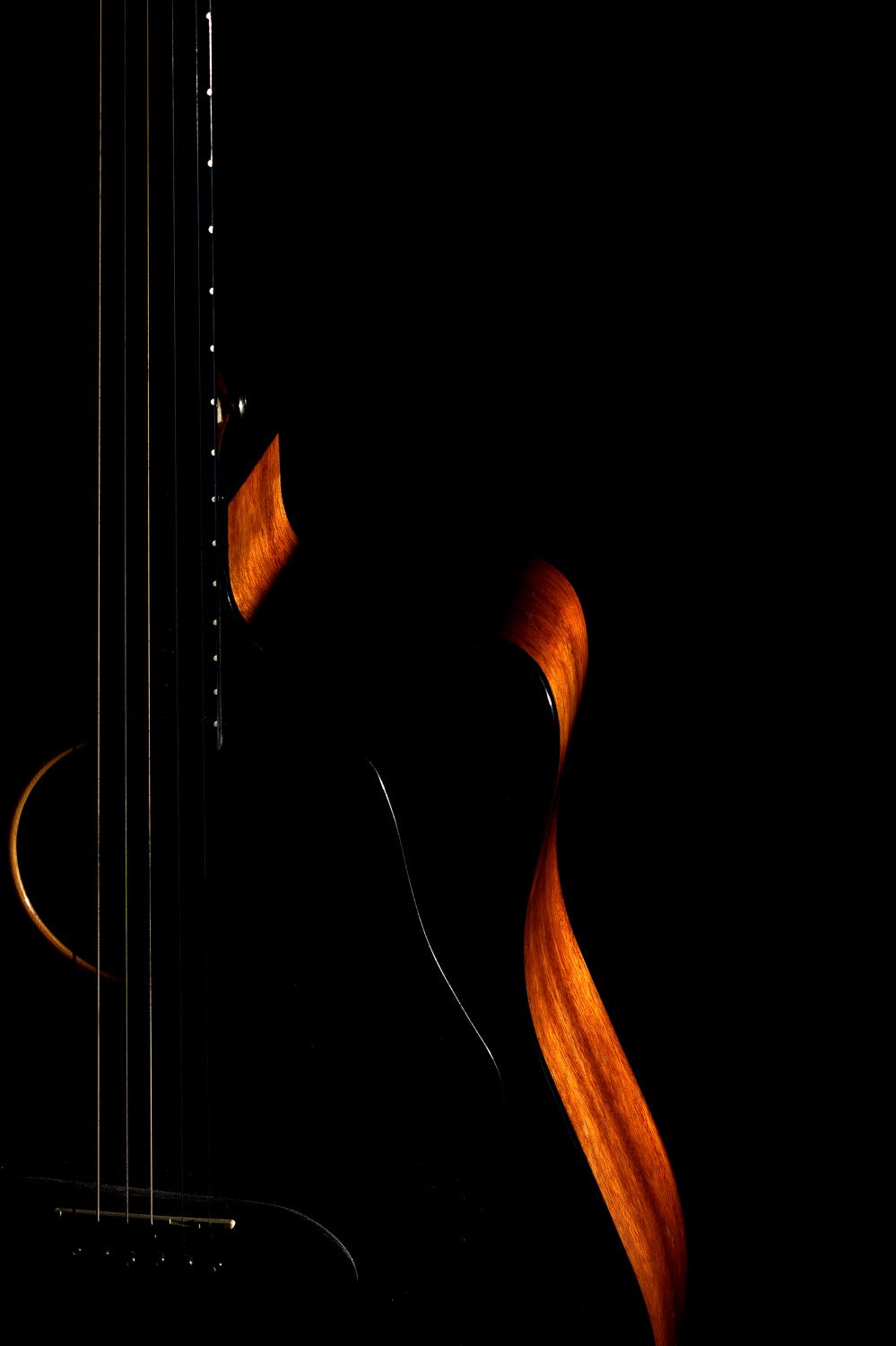 Poster - Gitarrkonst