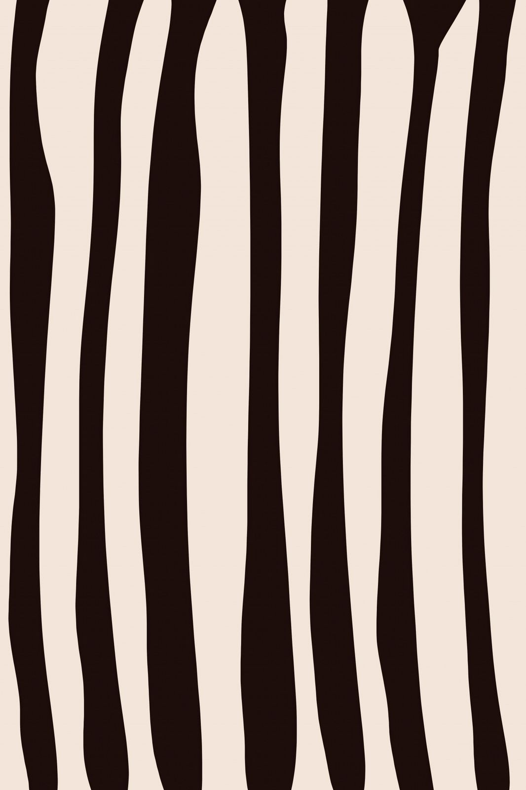 Poster - Zebra Stripes