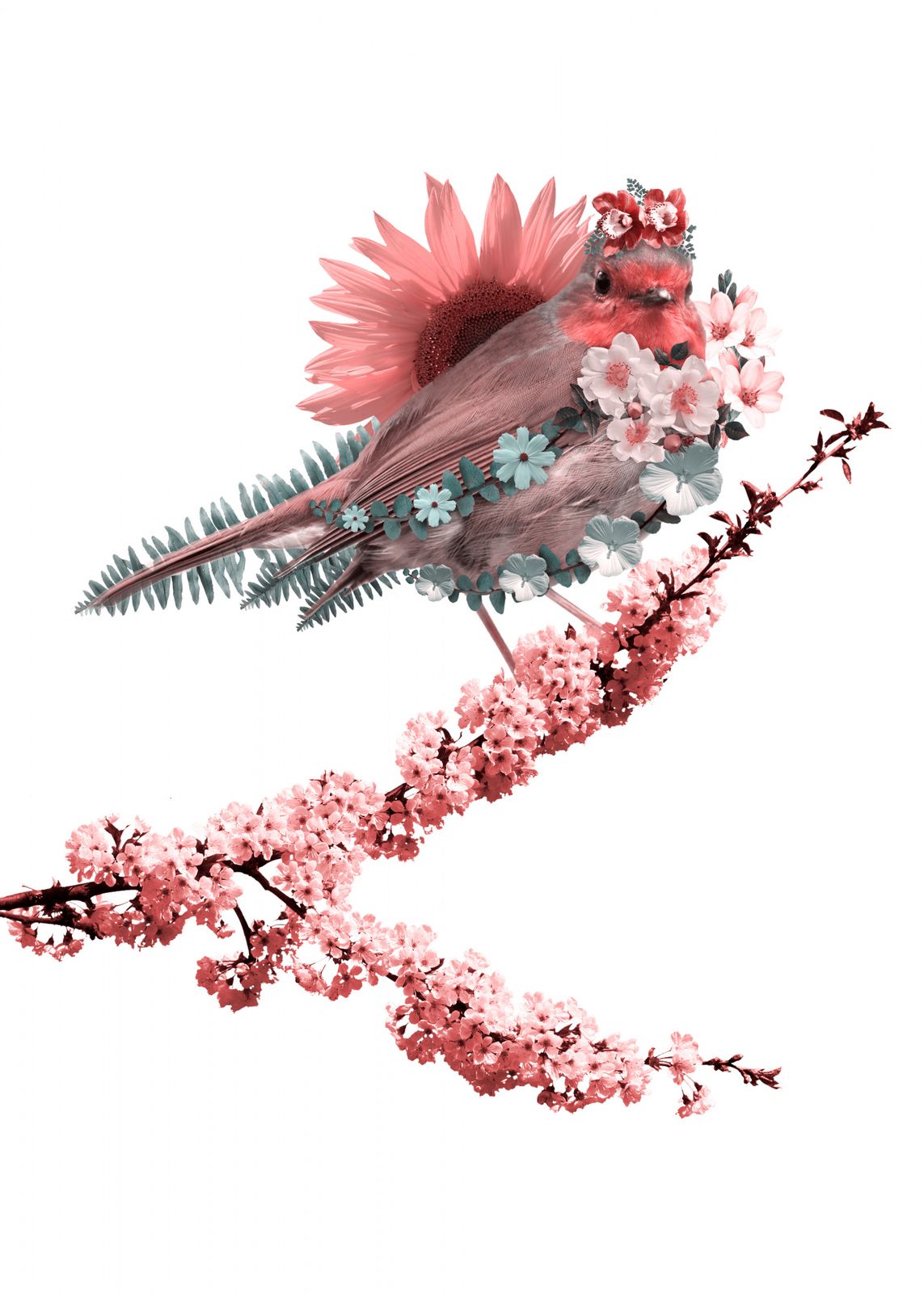 Poster - Blomsterfågelkonst