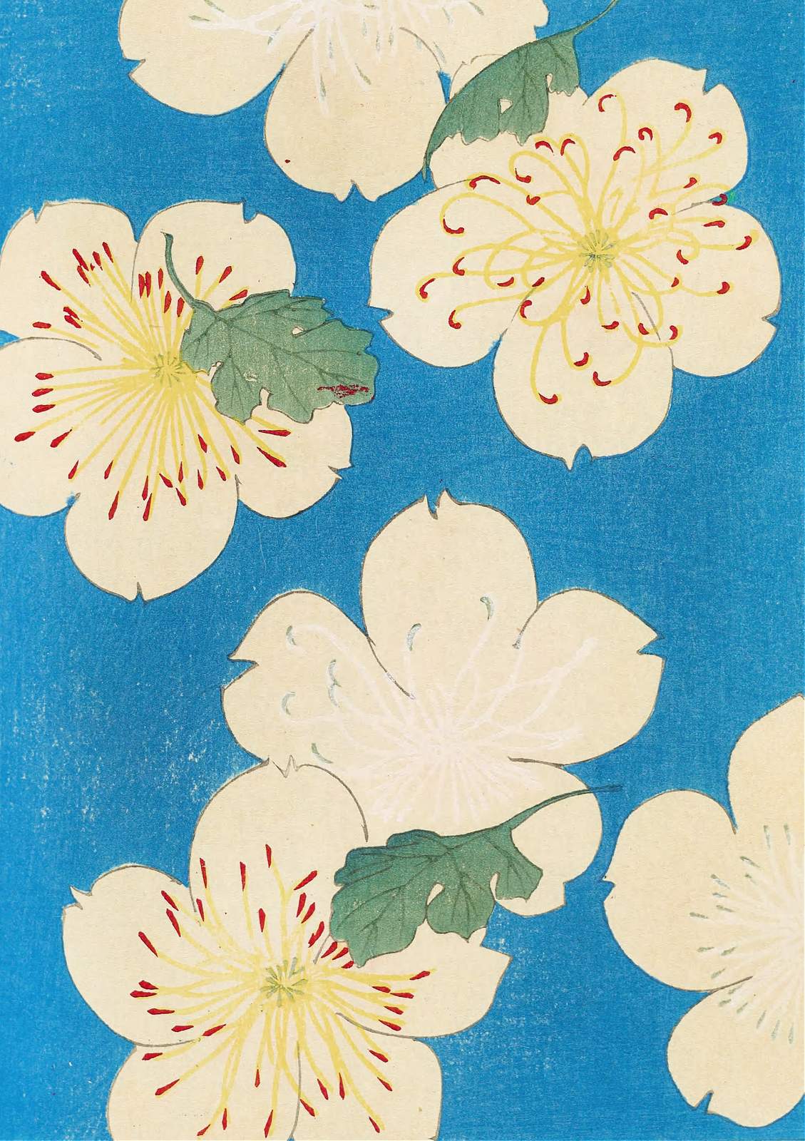 Poster - Blomtryck