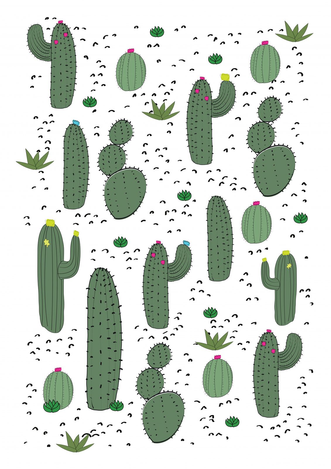 Poster - Kaktusillustration