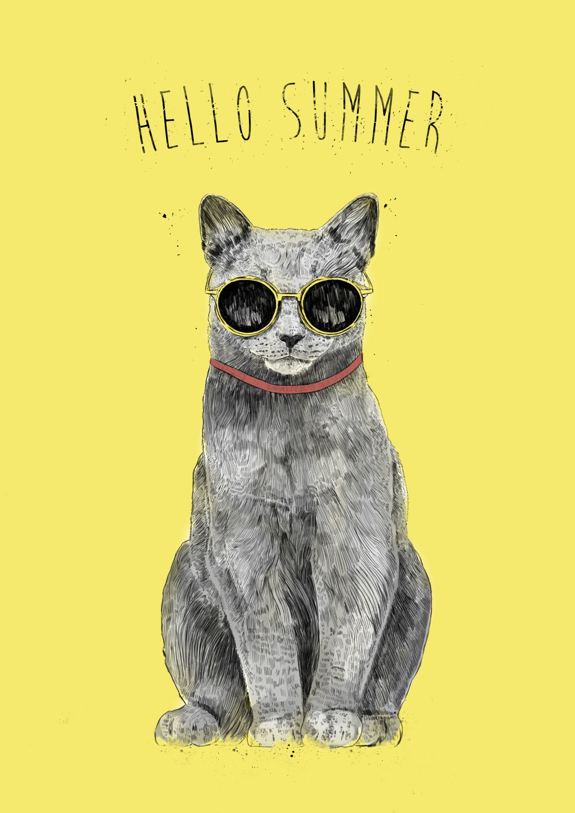 Poster - Sommarkatt