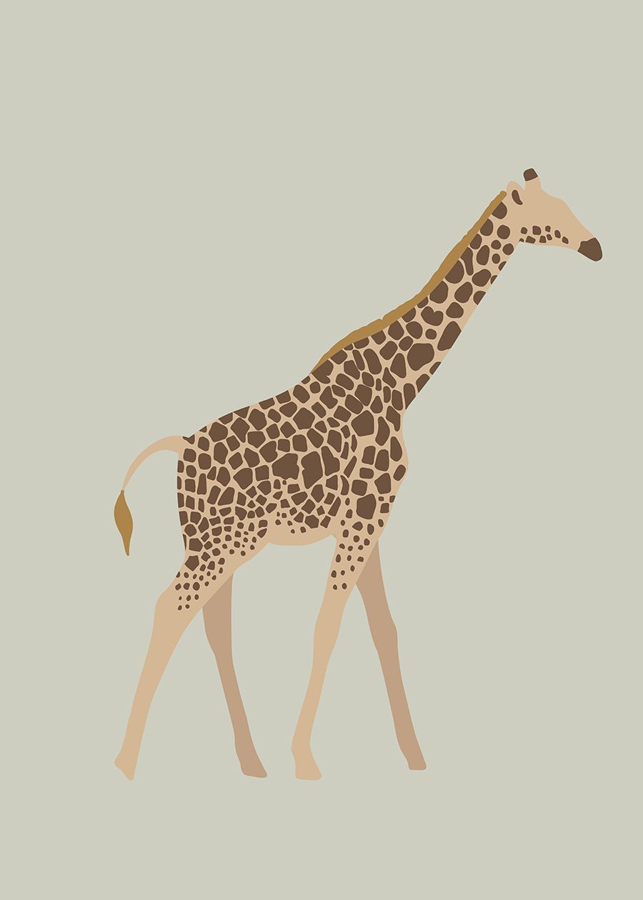 Poster - Giraffkonst