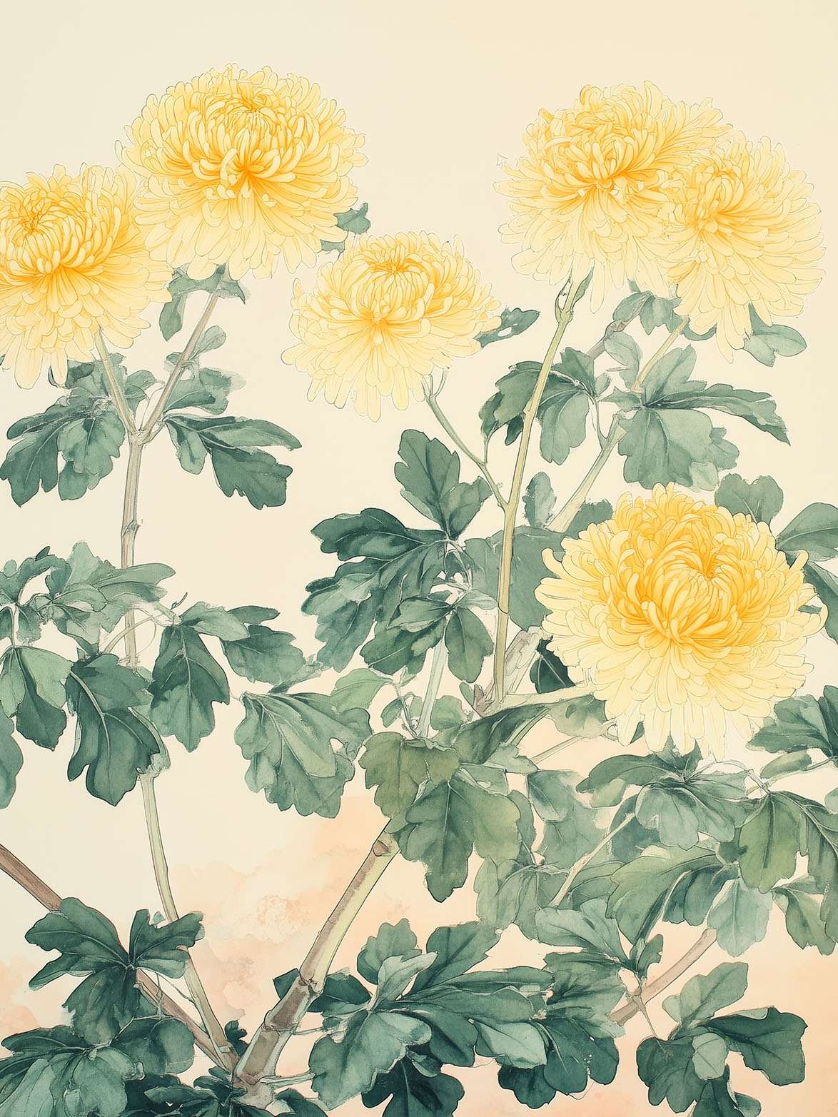 Poster - Gul Krysantemum