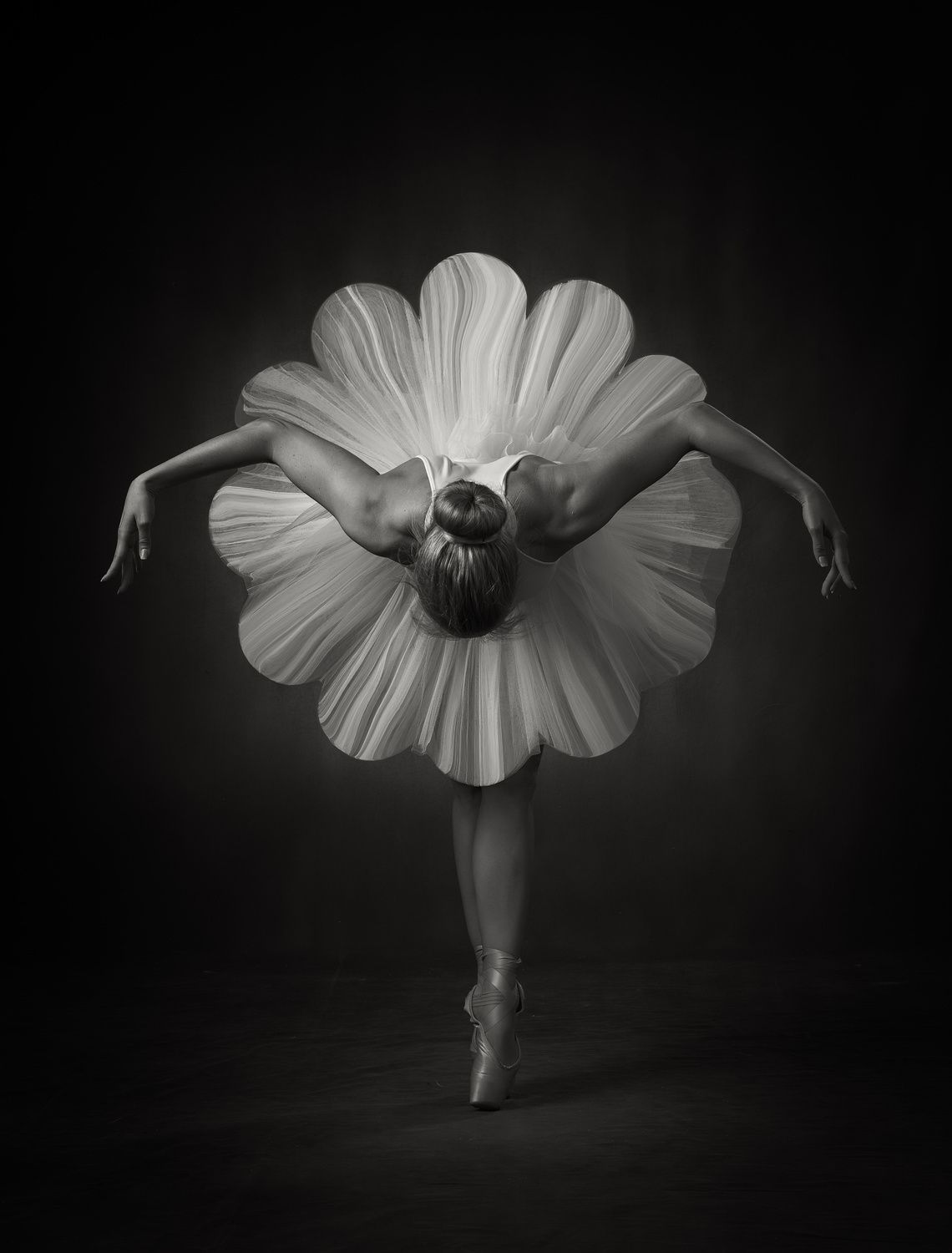 Poster - Ballerina Grace