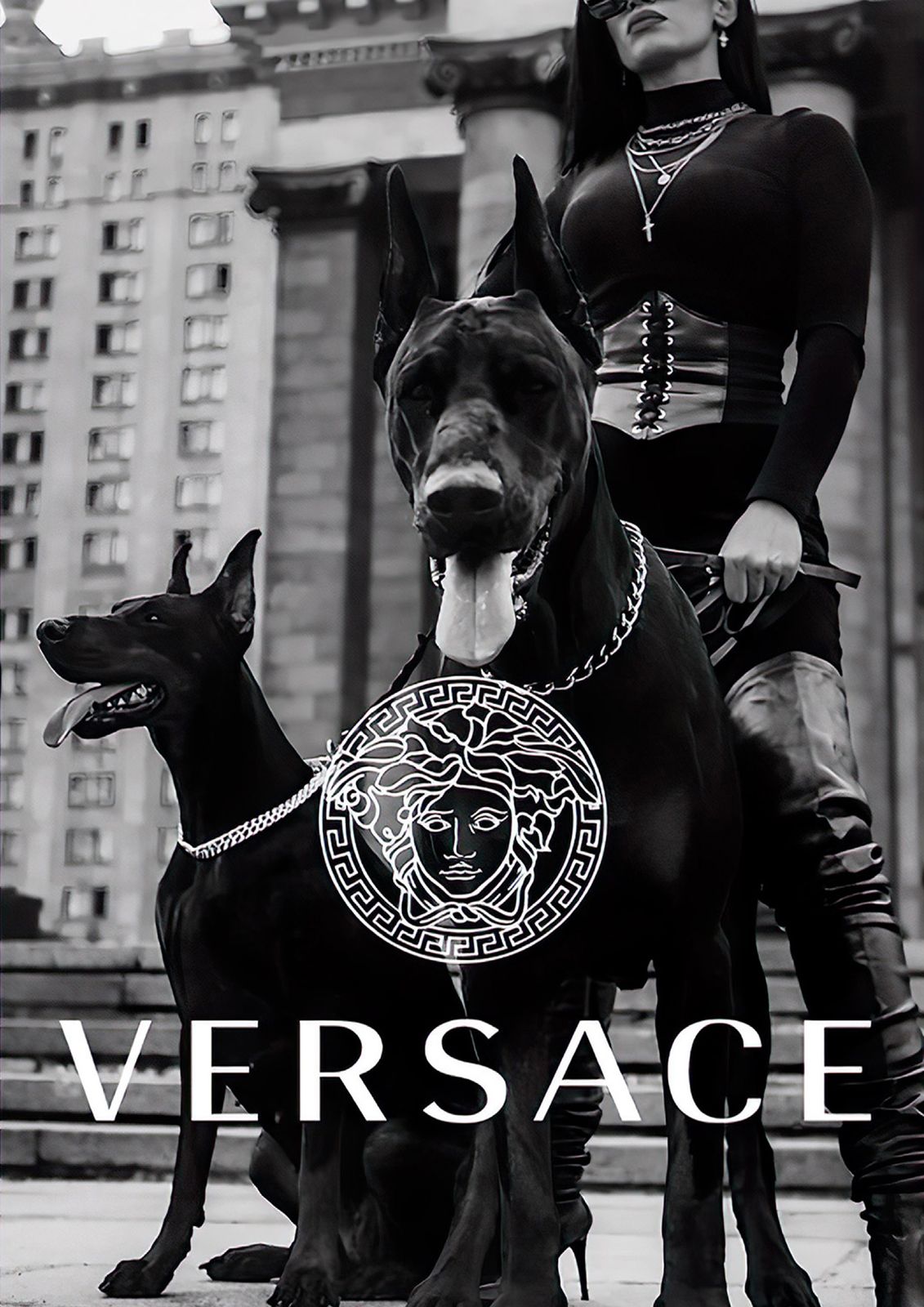 Versace Hundposter