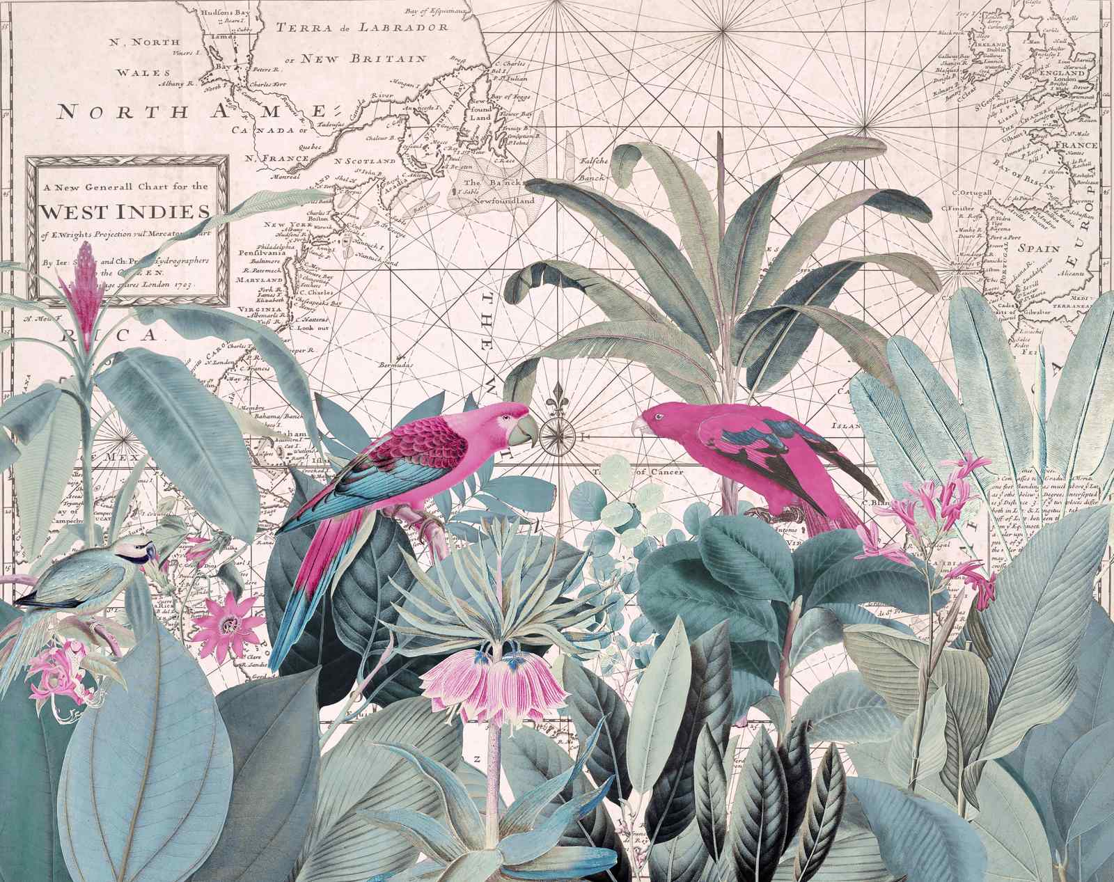 Poster - Vintage Botanisk Karta