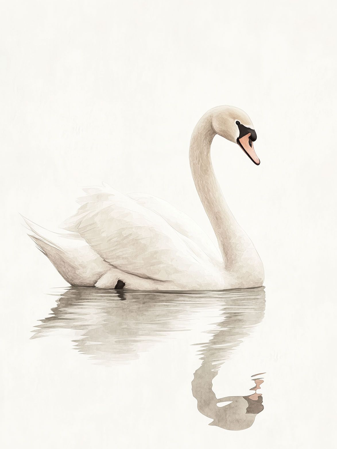 Poster - Elegant Svan