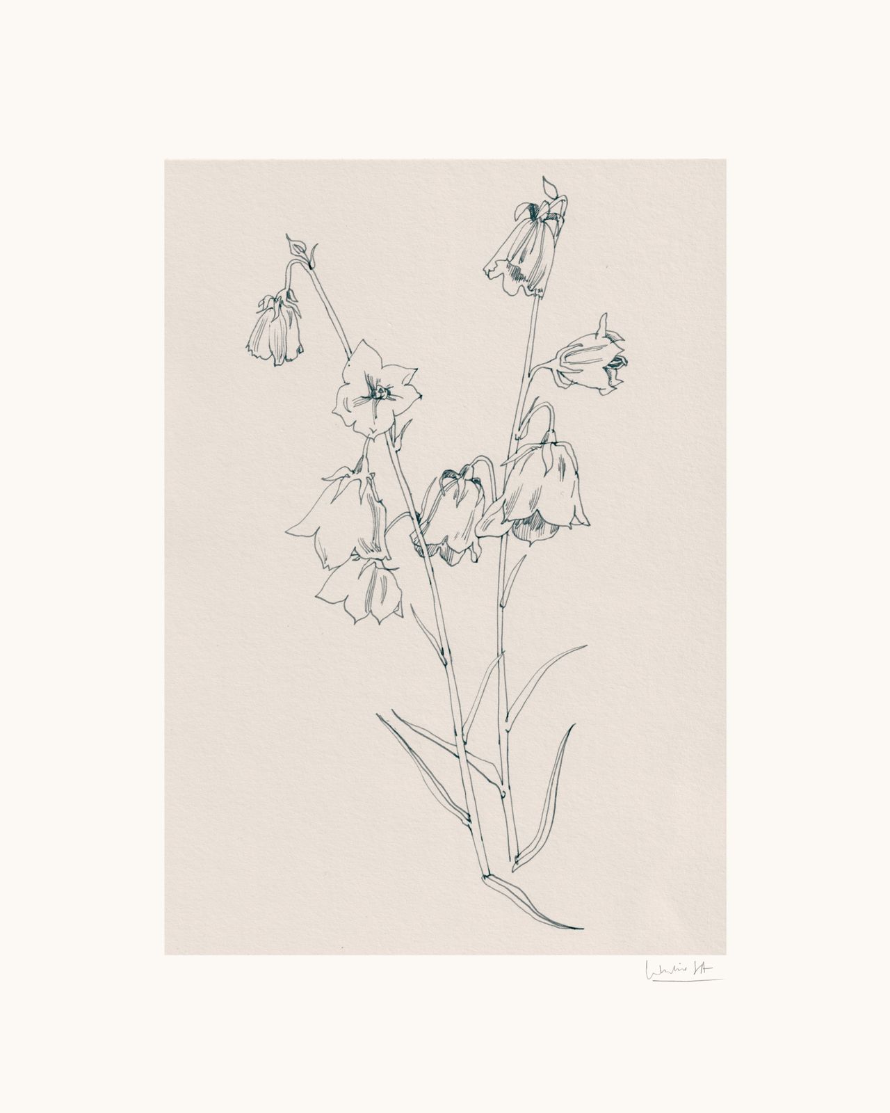Poster - Botanisk Skiss