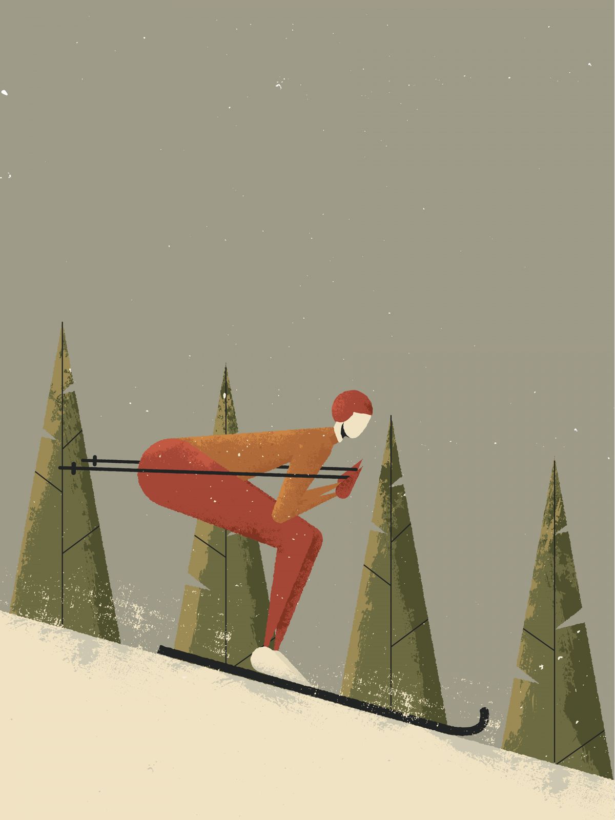 Poster - Vinter Skidinje