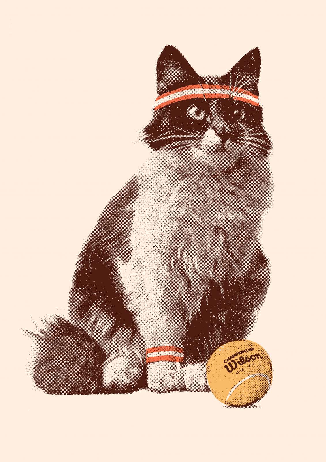 Affisch - Tennis Katt
