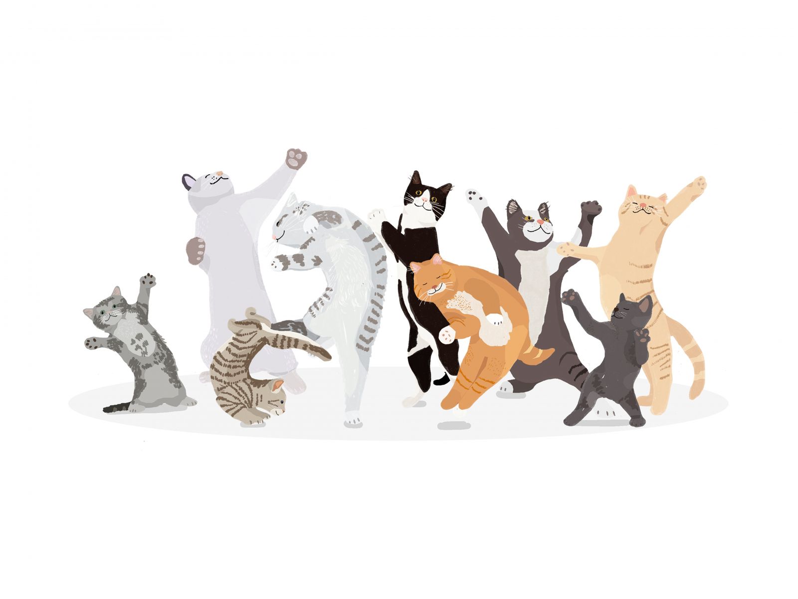 Poster - Dansande Katter