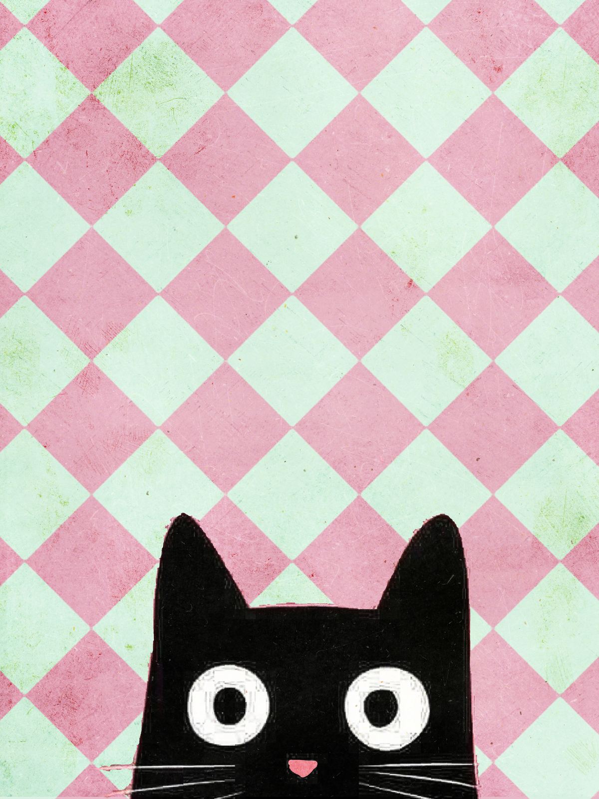 Poster - Kattdesign