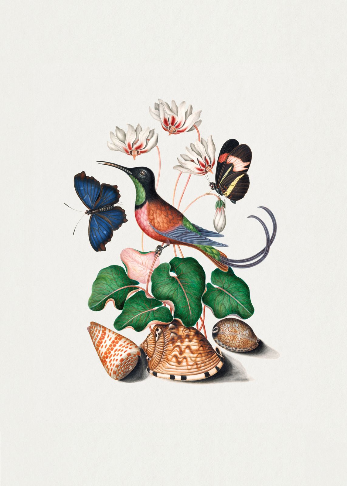 Poster - Fågel och Fjärilsillustration
