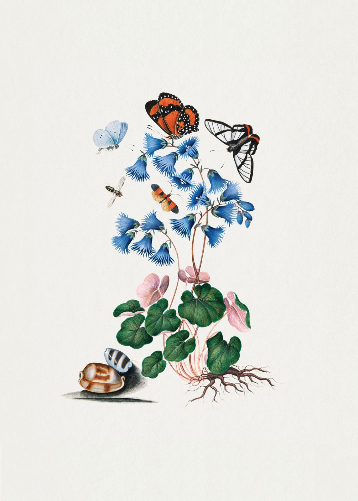 Poster - Botanisk Illustration