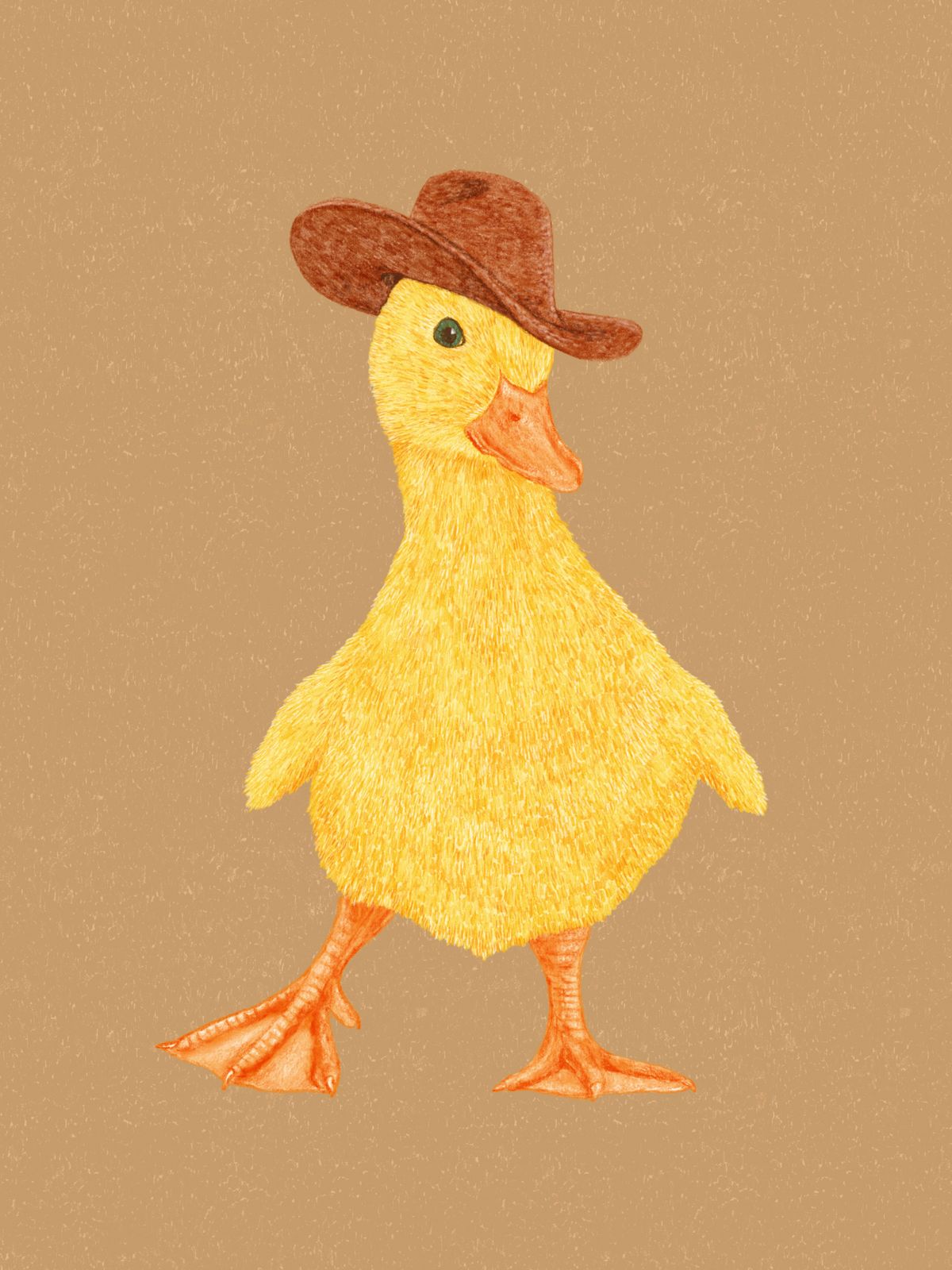 Poster - Anka med Cowboyhatt