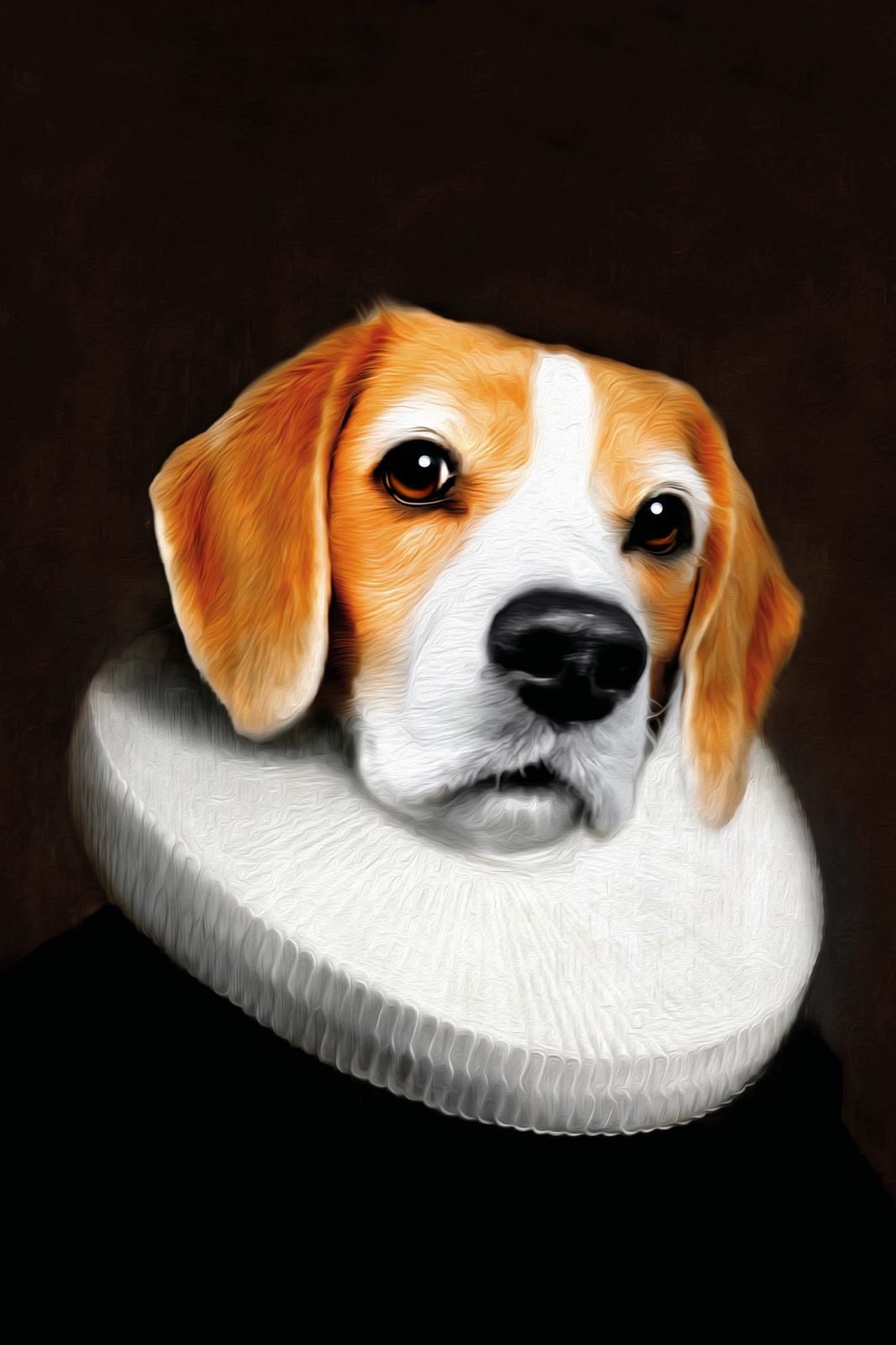 Affisch - Hund i Ruffelkrage
