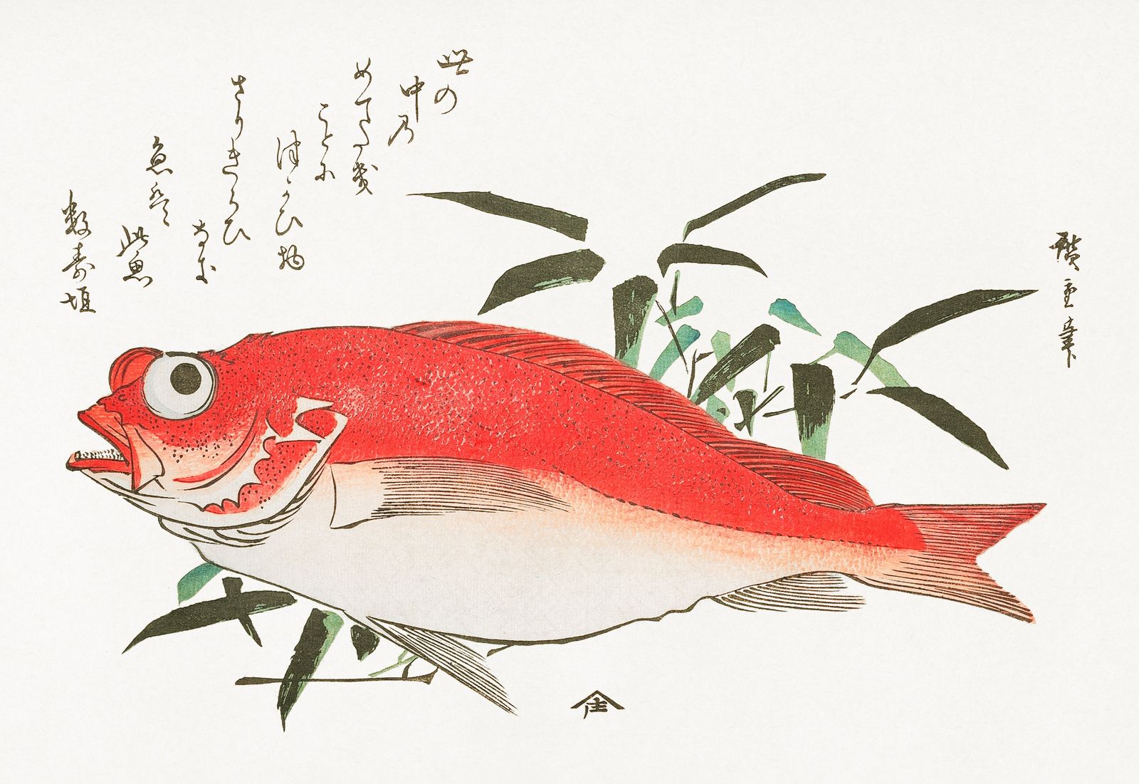 Poster - Japansk Fiskkonst