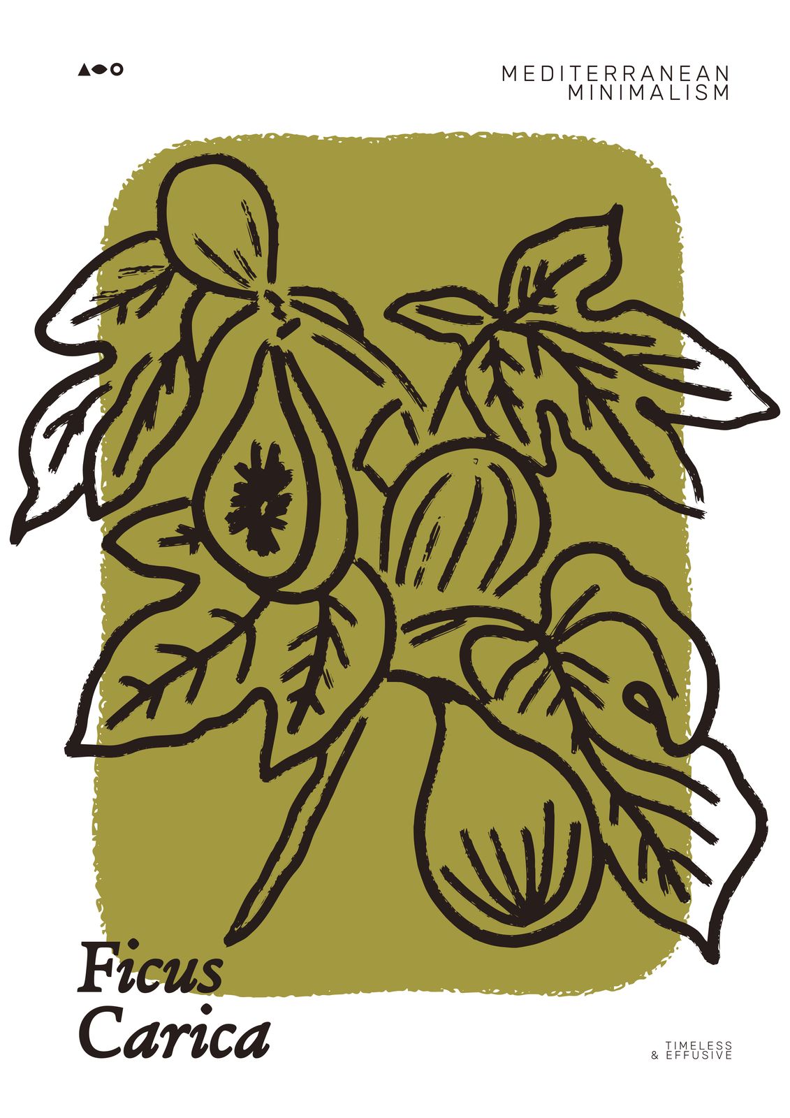 Poster - Ficus Carica
