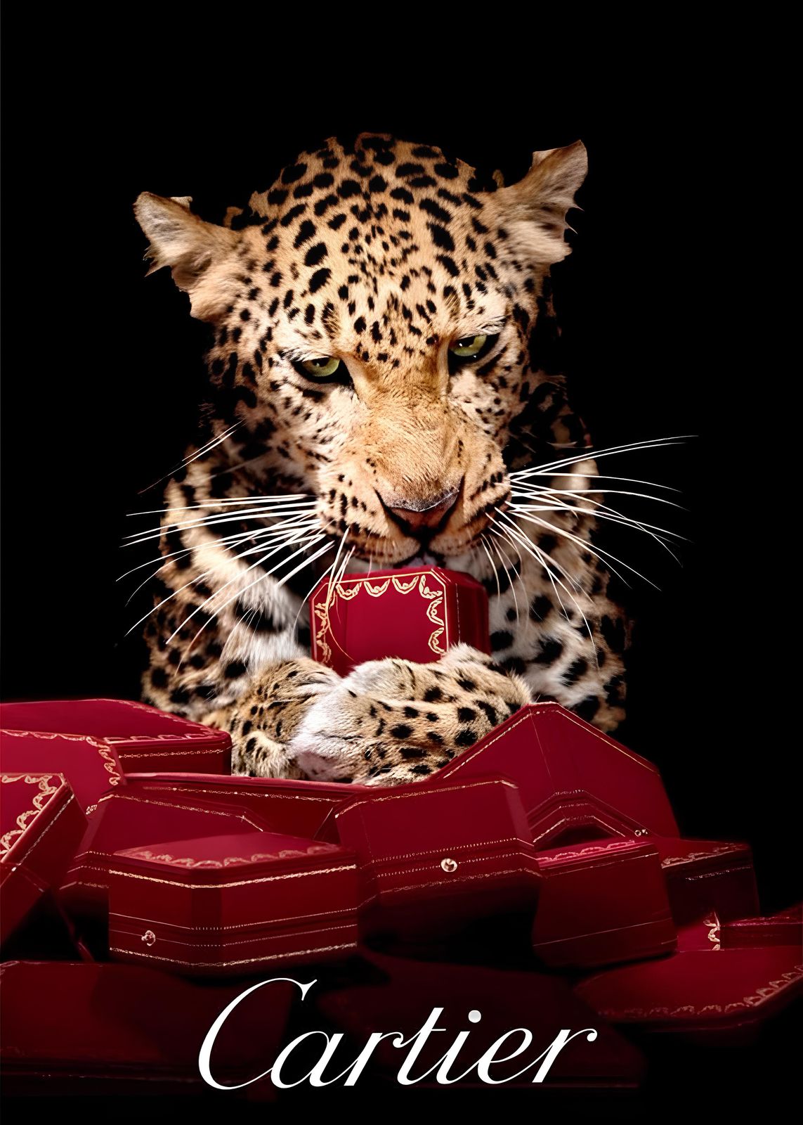 Poster - Leopard Cartier
