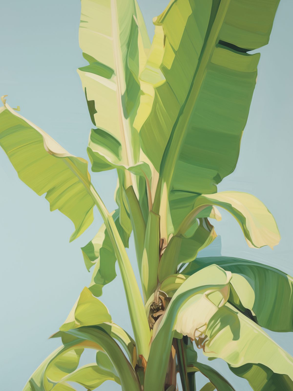 Poster - Tropiskt Bananblad