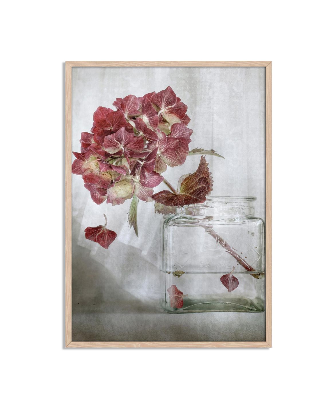 Hortensia i Vas Affisch
