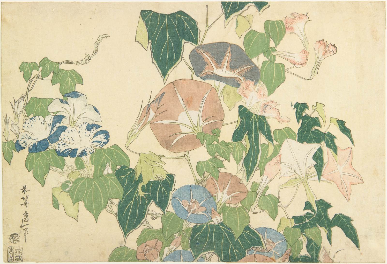 Poster - Morning Glories av Hiroshige