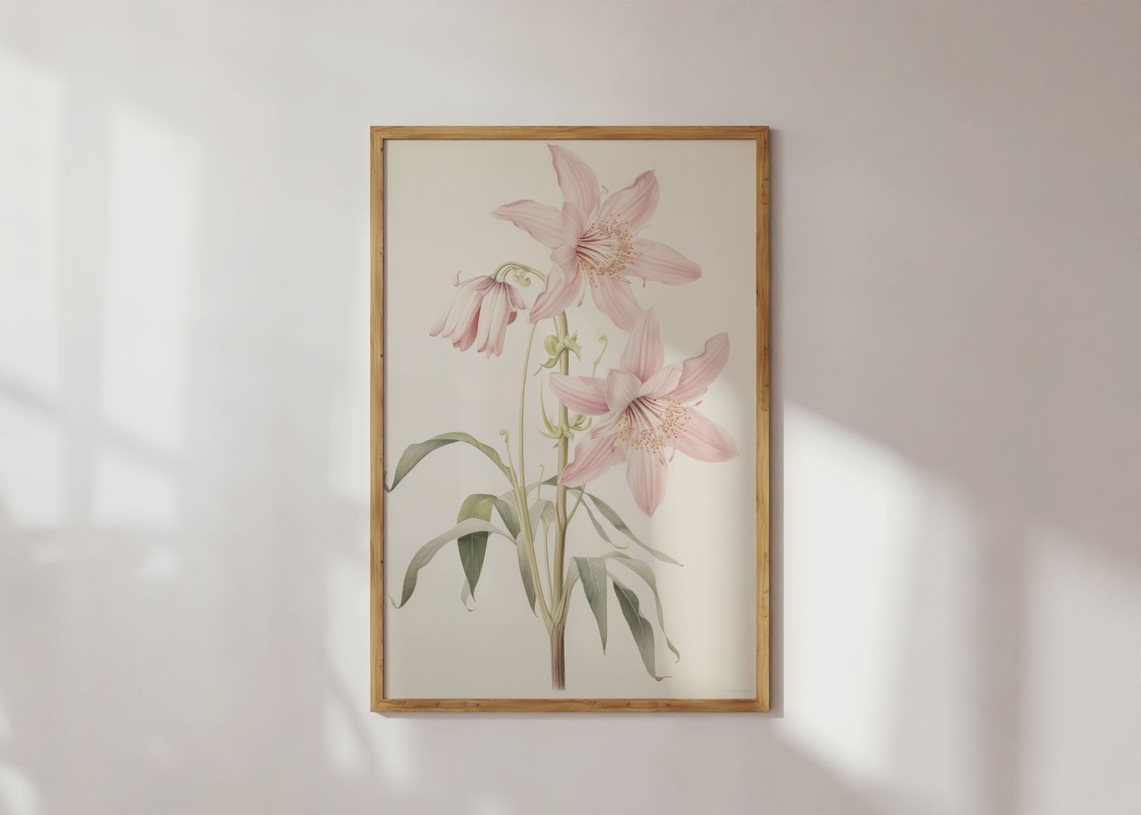 Poster - Rosa lilja