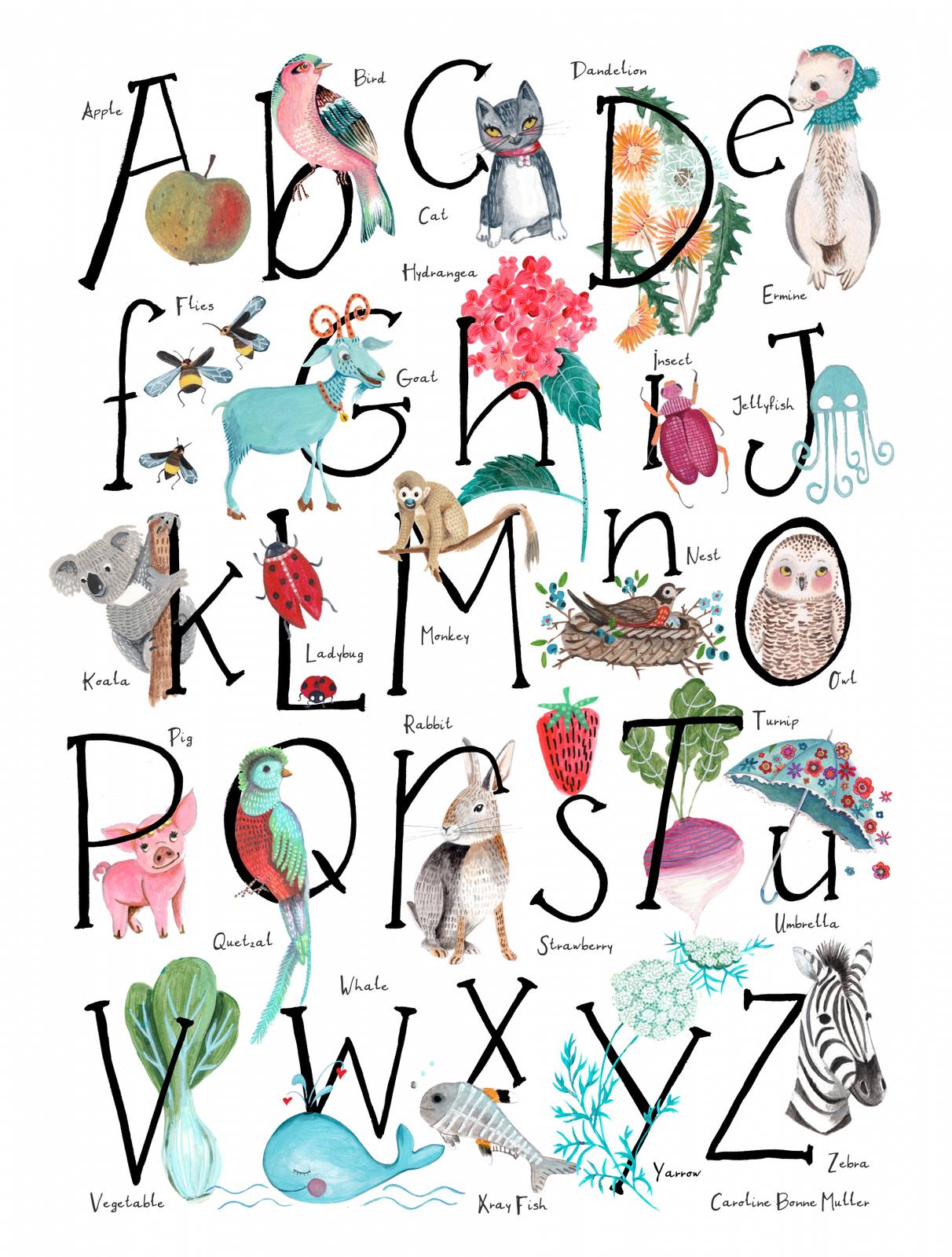 Poster - Alfabet Djur