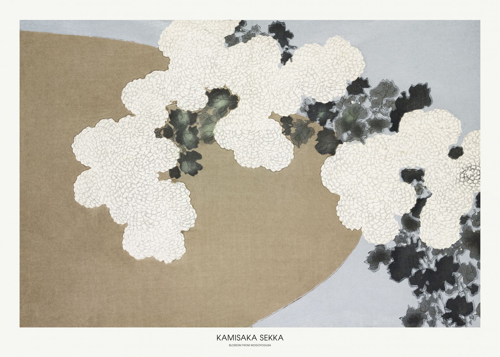 Poster - Blomma från Mogogyōgusa