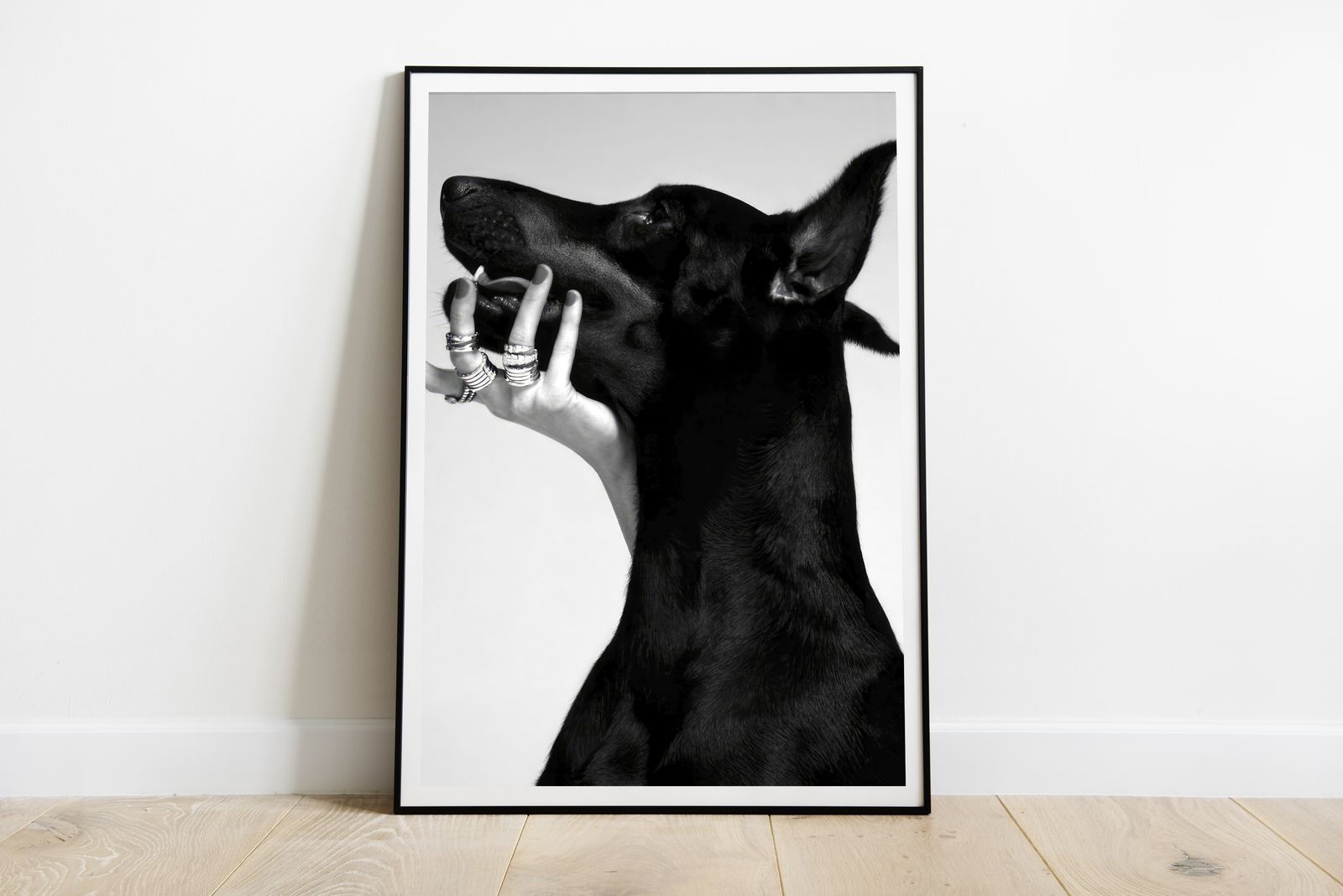 Poster - Svart Hundporträtt