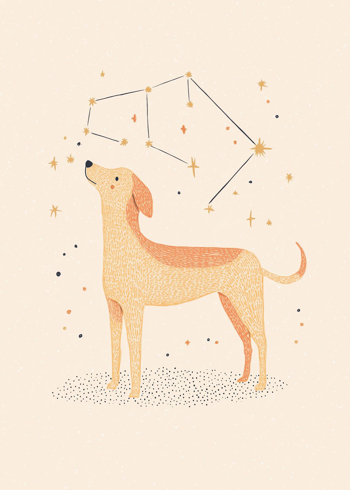 Poster - Stjärnbild Hund