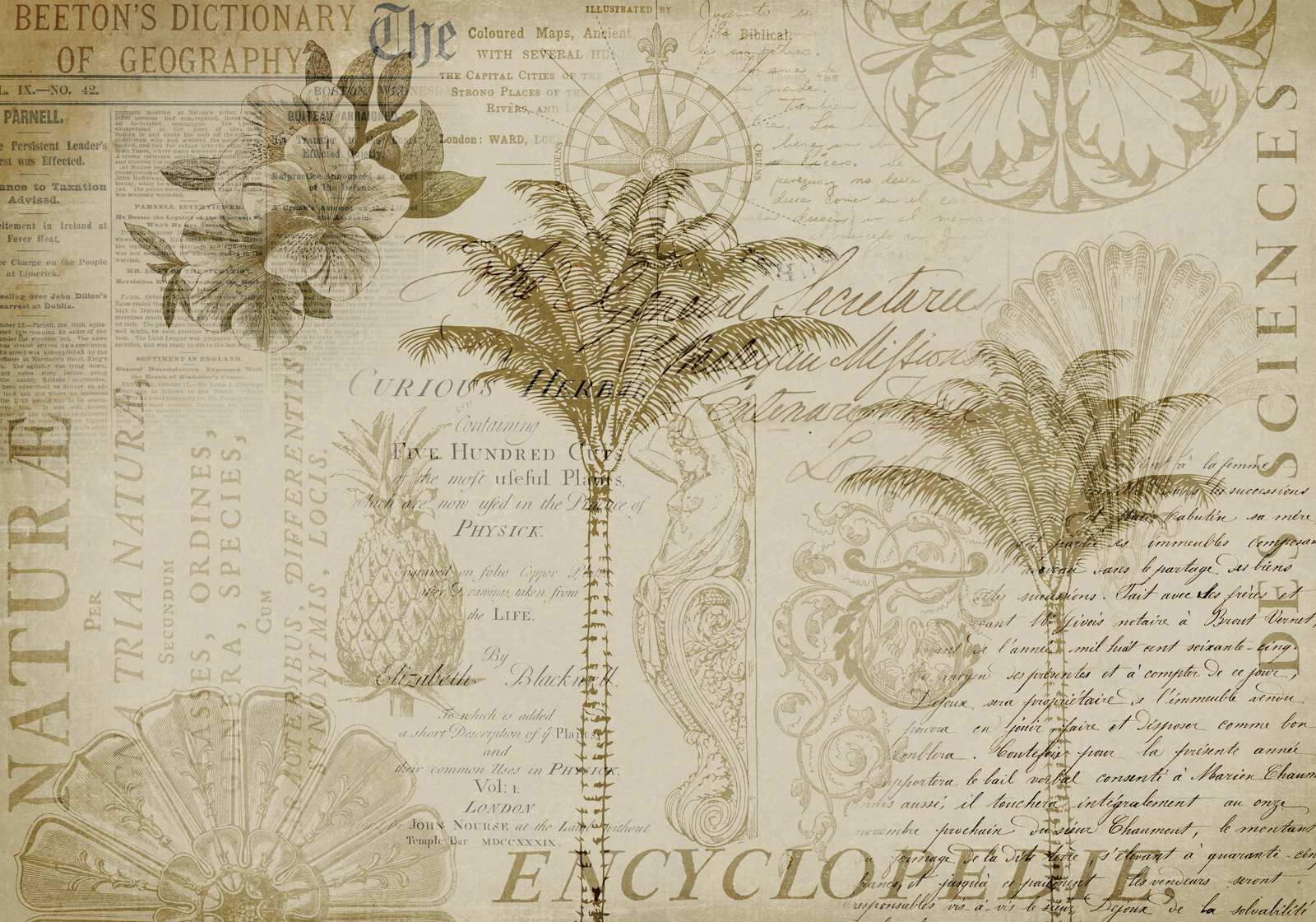 Poster - Encyclopedi Natur