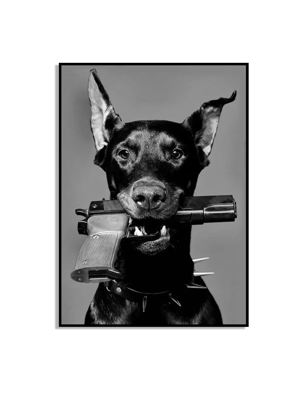 Svart Hund Väggaffisch