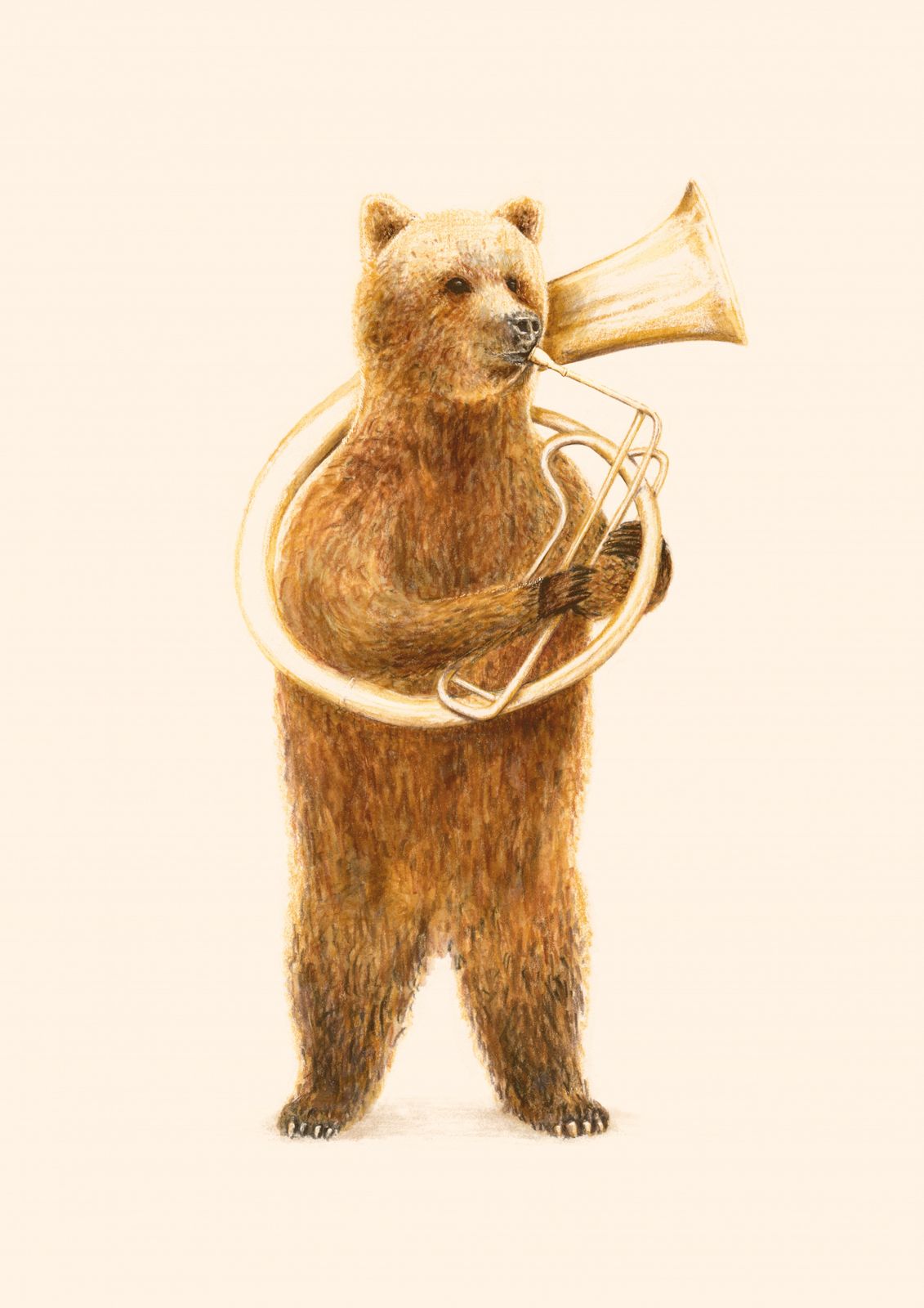 Poster - Björn med Tuba