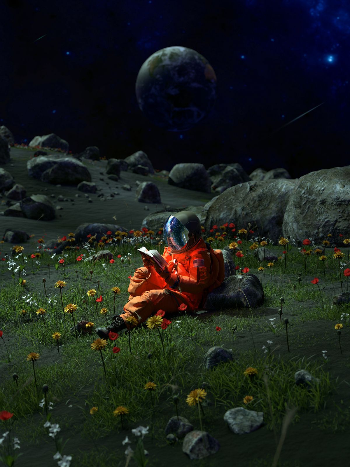Poster - Astronaut i Fält