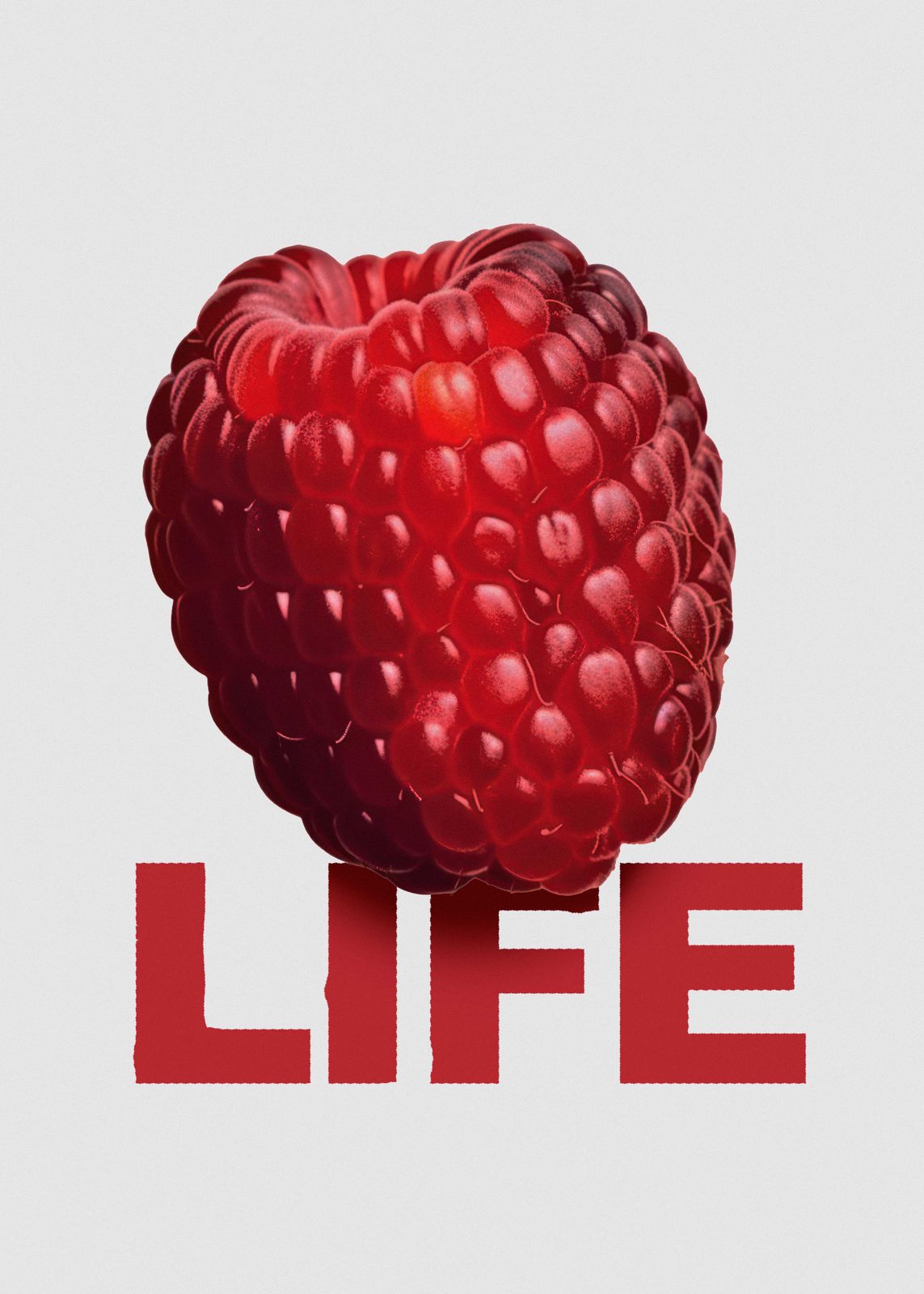 Poster - Hallon Liv