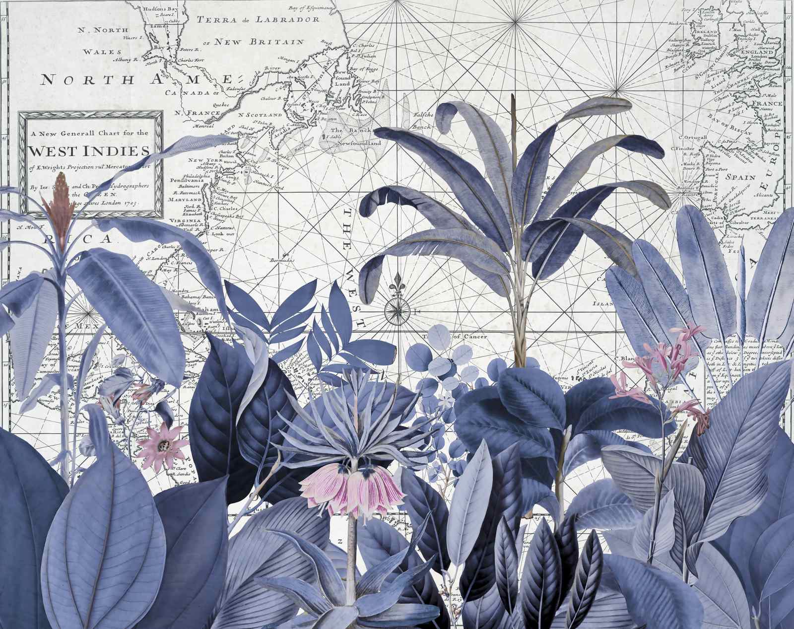 Poster - Blomkarta