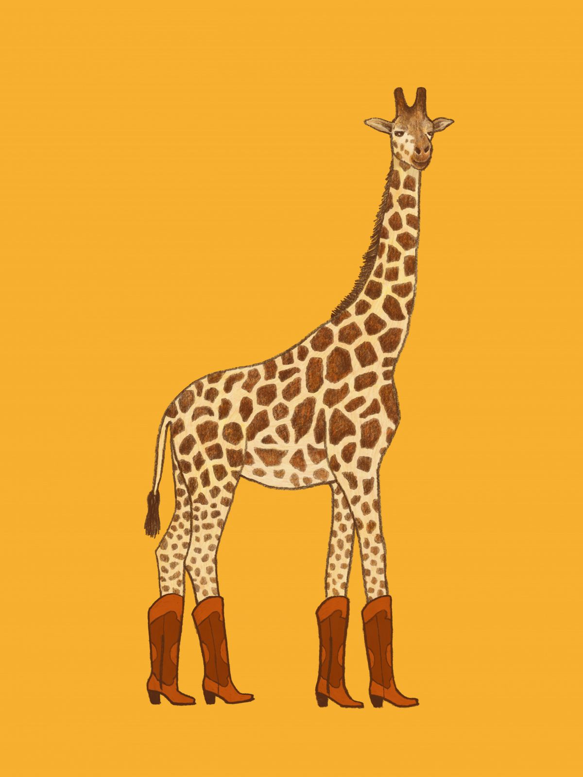 Affisch - Giraff med stövlar
