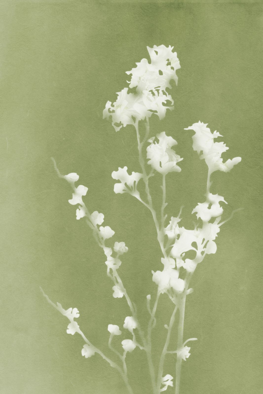 Affisch - Blomgrönt Konstverk