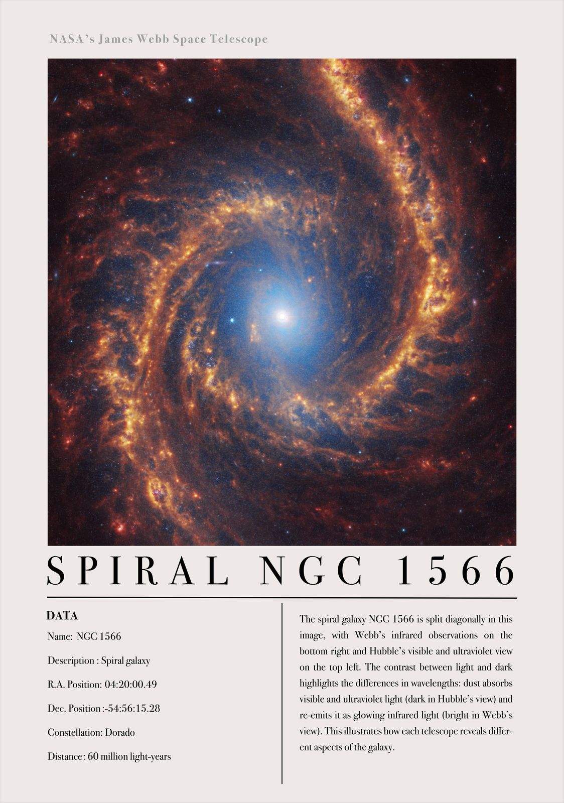 Affisch - Spiralgalaxen NGC 1566