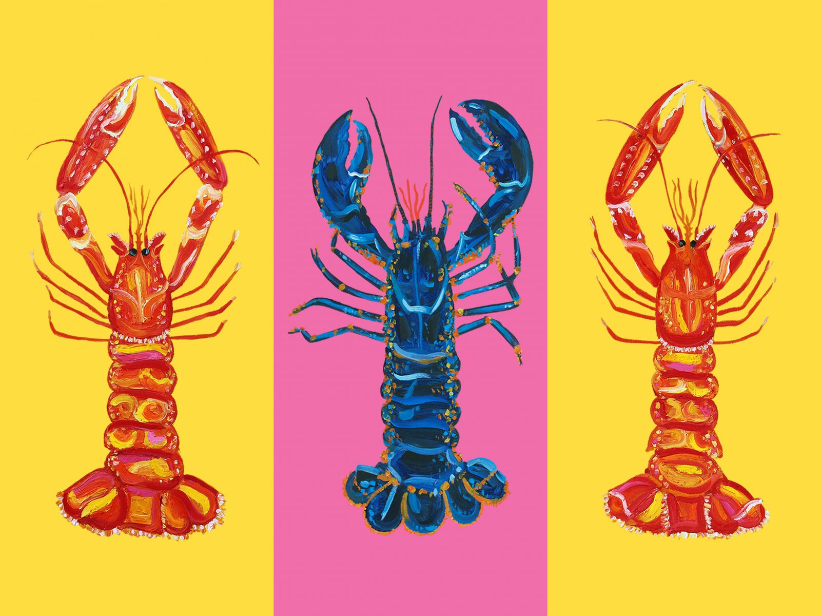 Poster - Färgglada Hummer