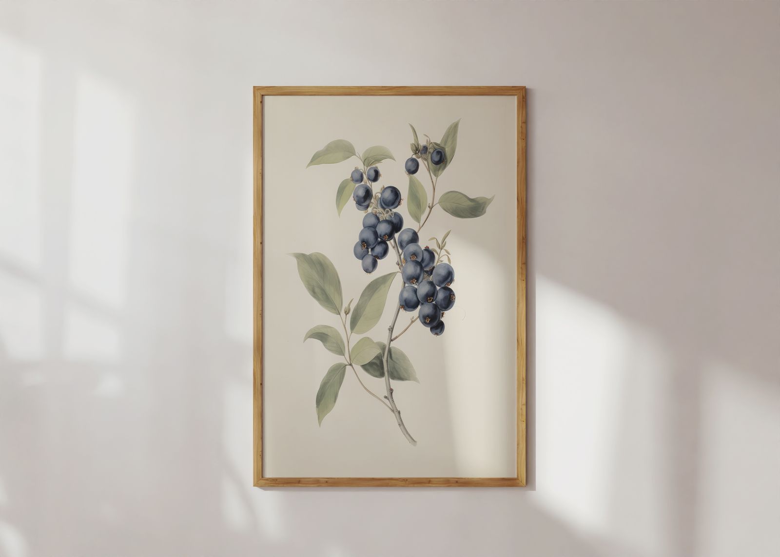Poster - Blåbär Botanisk
