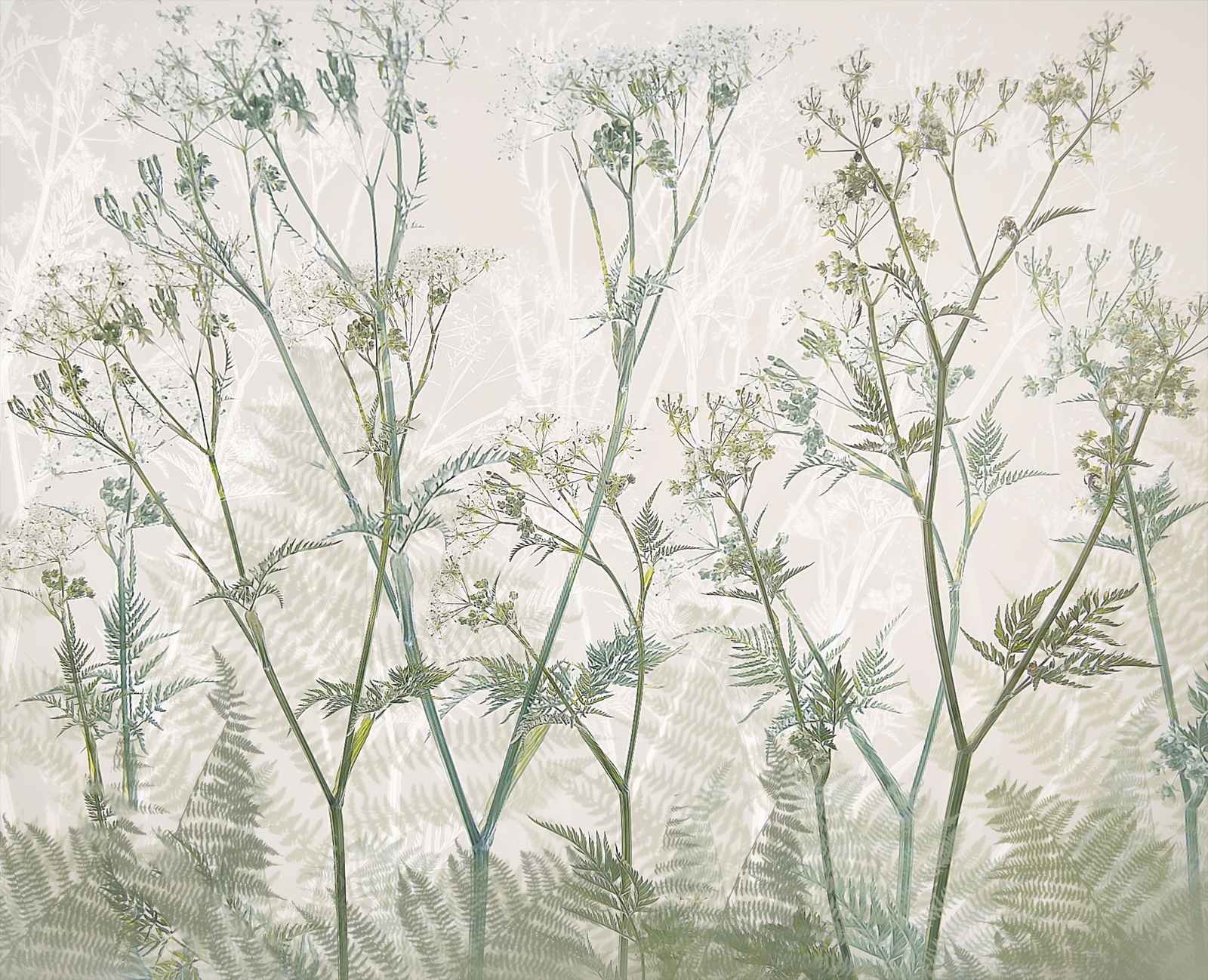 Poster - Botanisk Illustration